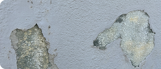 外壁の塗膜が剥がれている